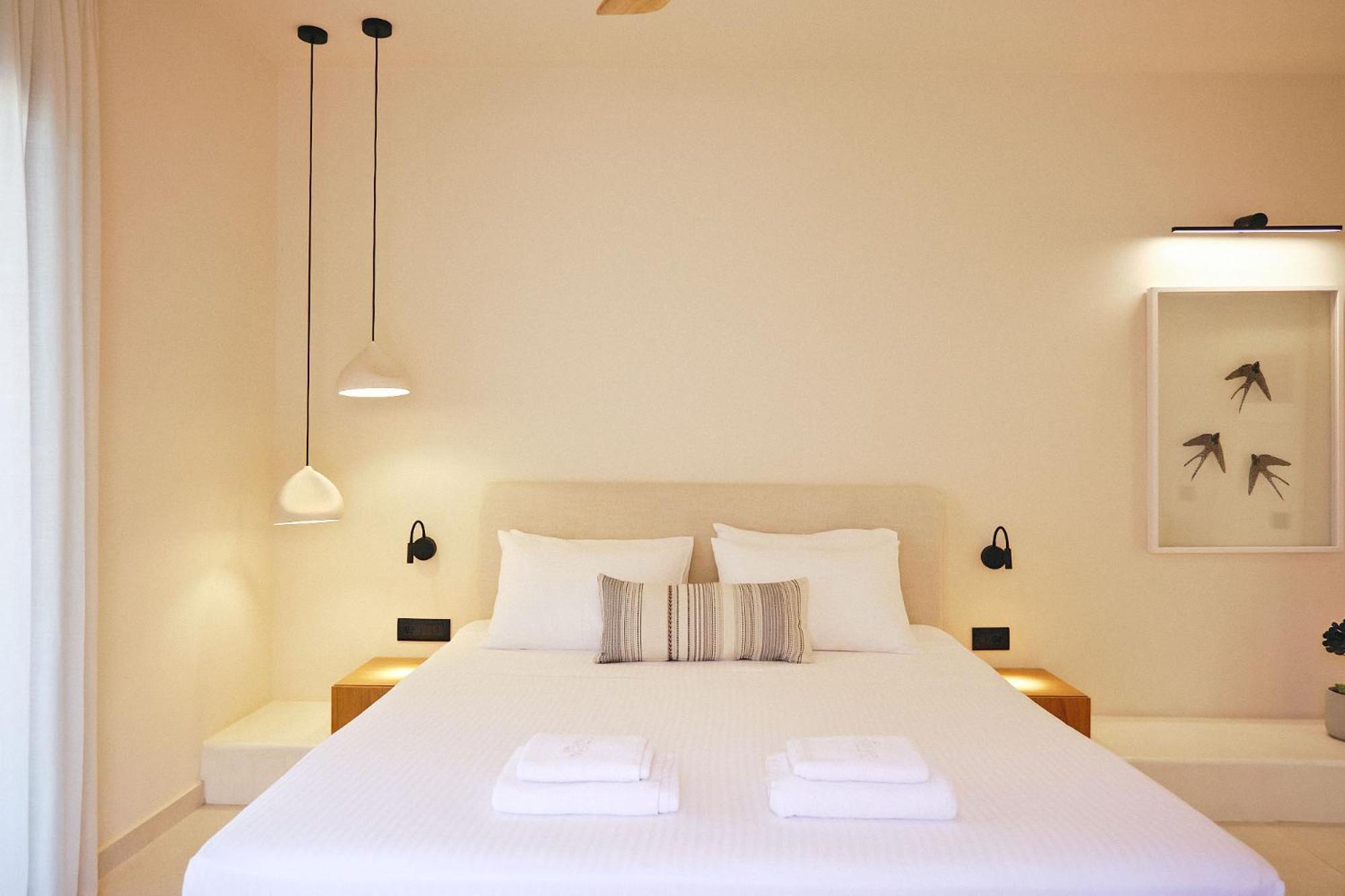 Agave Donousa Suites Extérieur photo