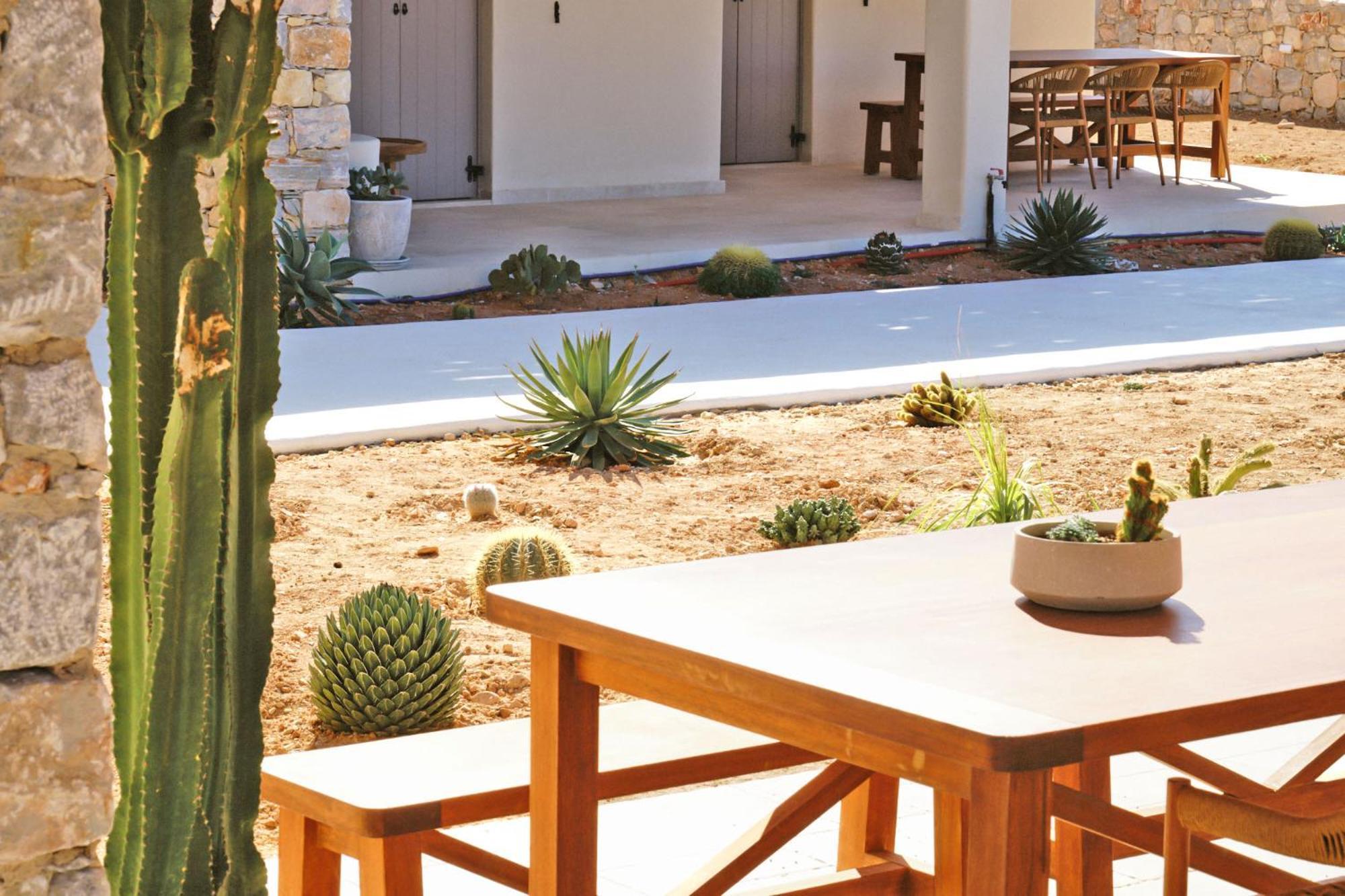 Agave Donousa Suites Extérieur photo