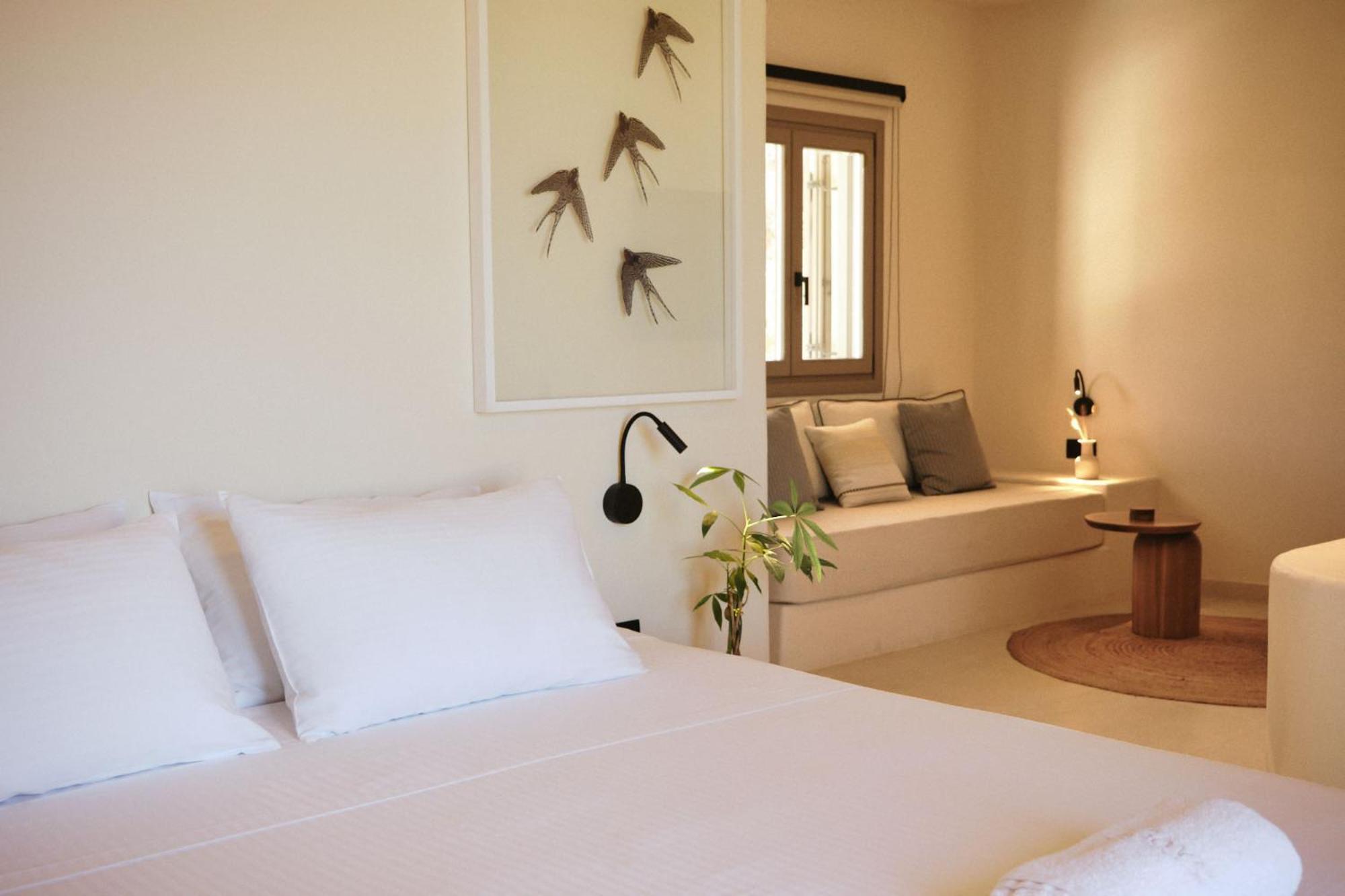 Agave Donousa Suites Extérieur photo