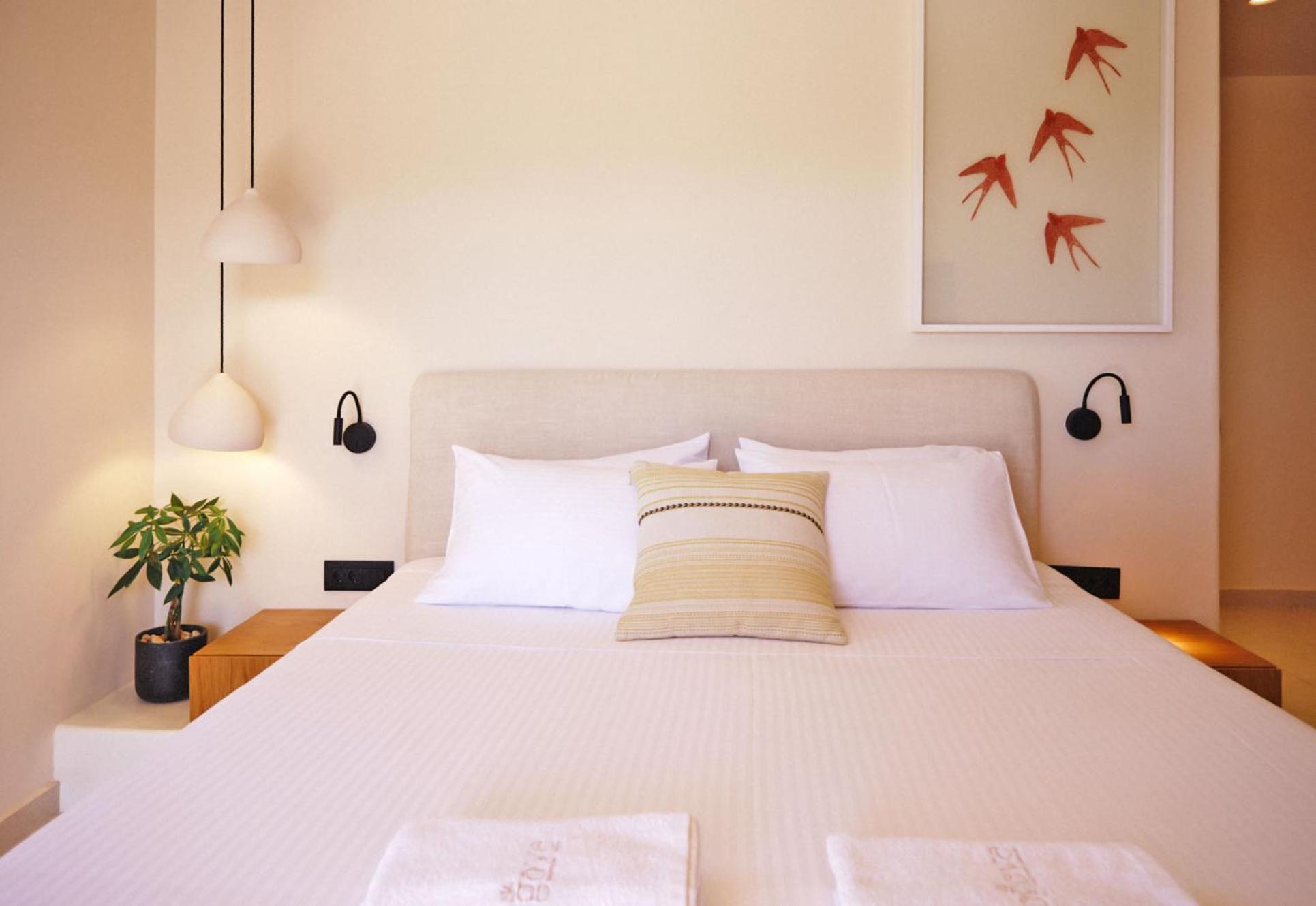 Agave Donousa Suites Extérieur photo