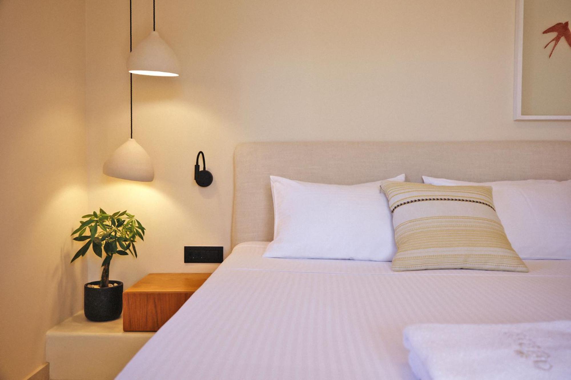 Agave Donousa Suites Extérieur photo