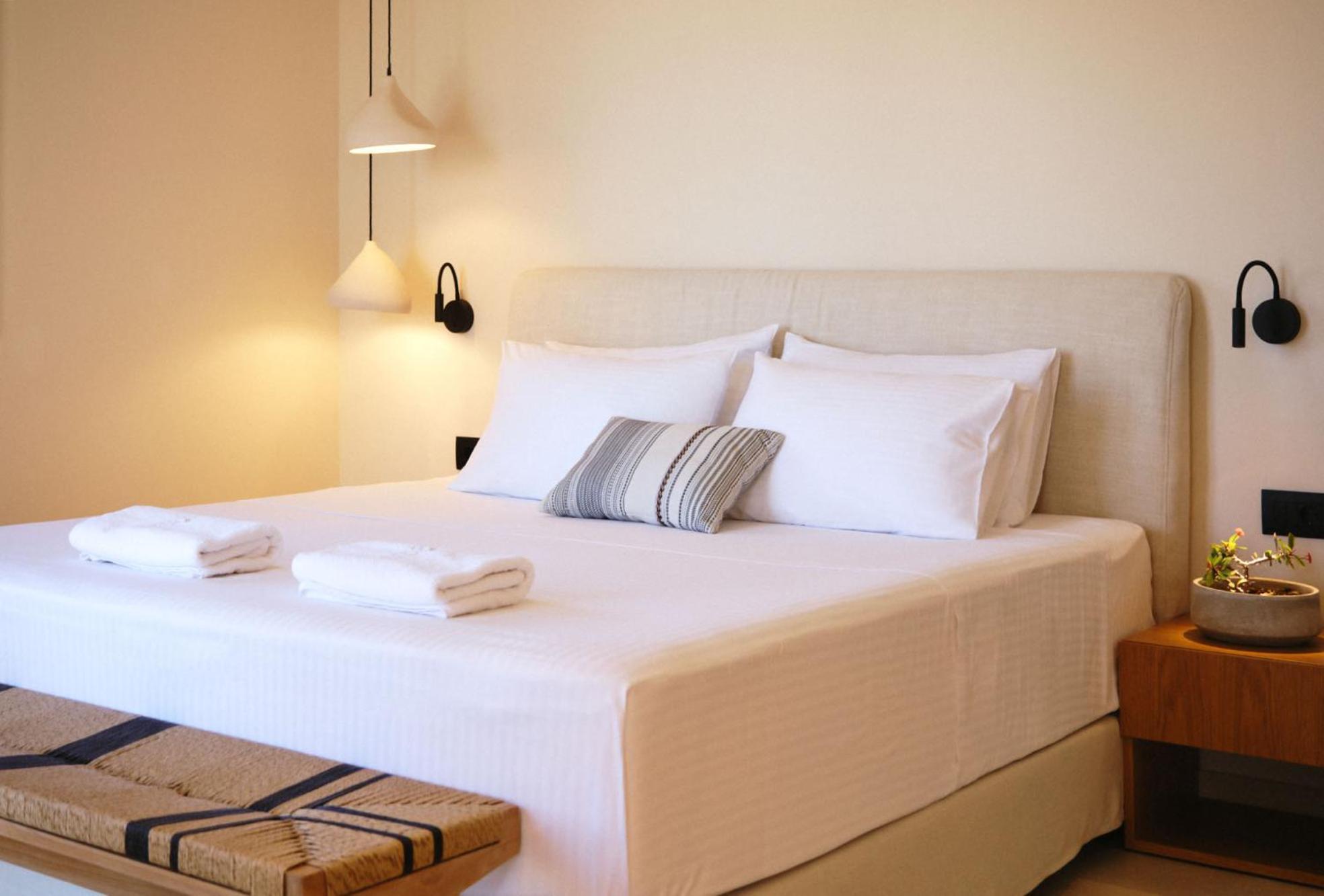 Agave Donousa Suites Extérieur photo
