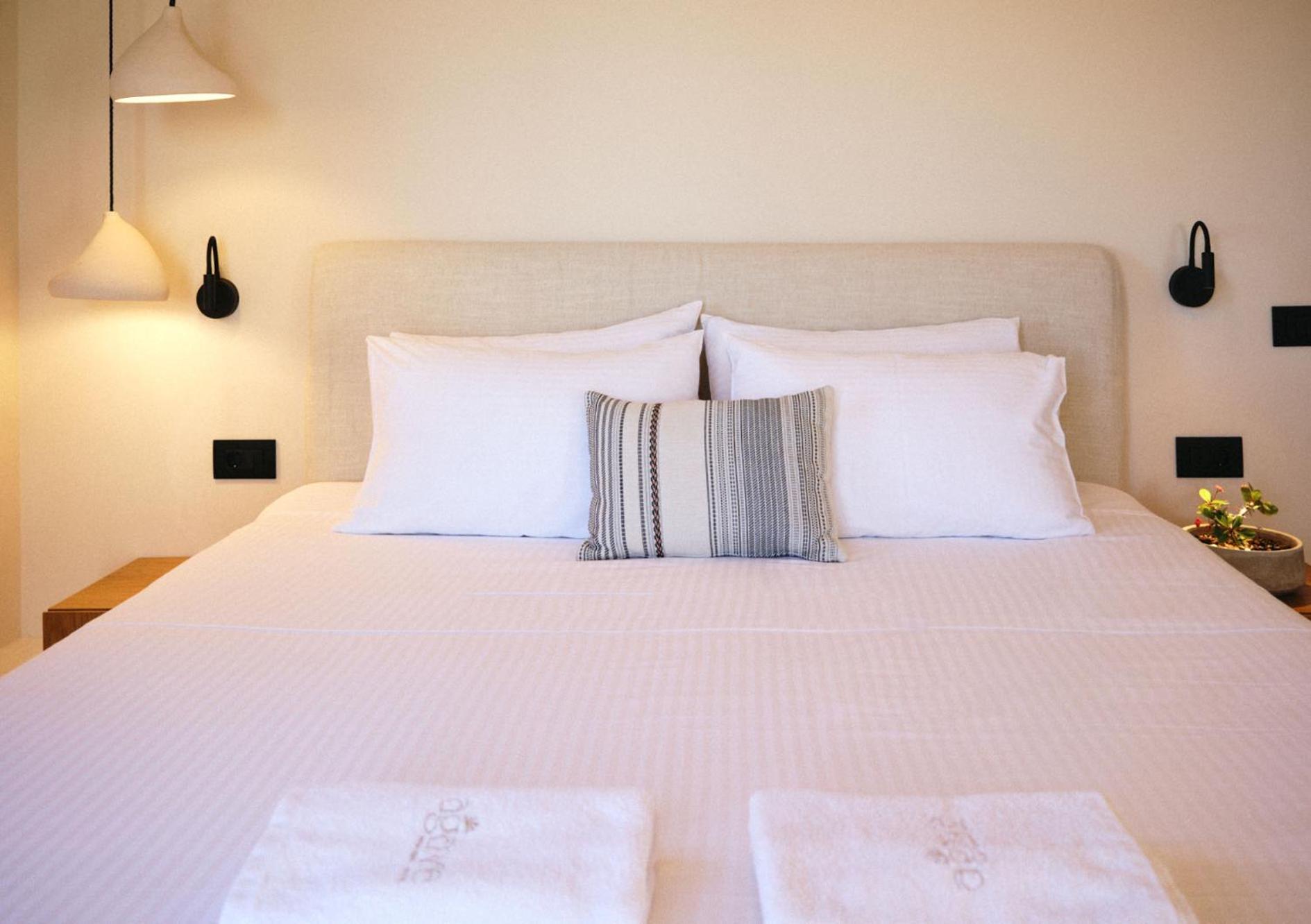 Agave Donousa Suites Extérieur photo